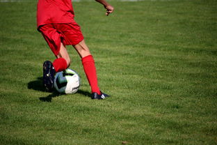hth中国官网-意甲裁判语义分析系统在比赛判罚中的应用研究，意甲裁判名单